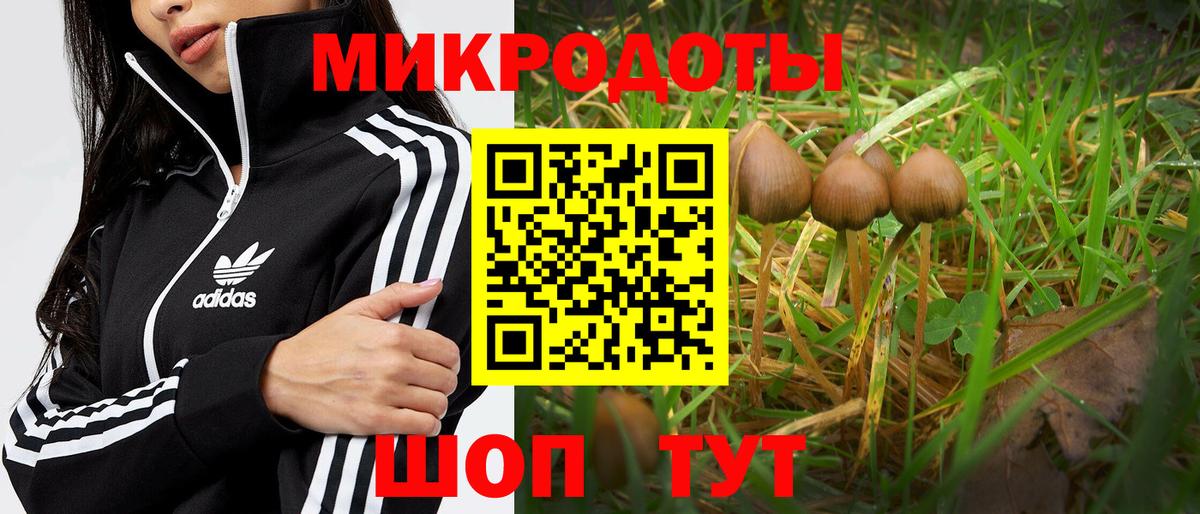 Псилоцибиновые грибы GOLDEN TEACHER  Вход с VPN  Югорск 