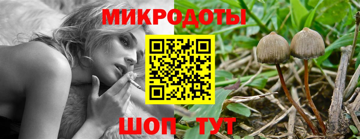 Псилоцибиновые грибы Cubensis Югорск